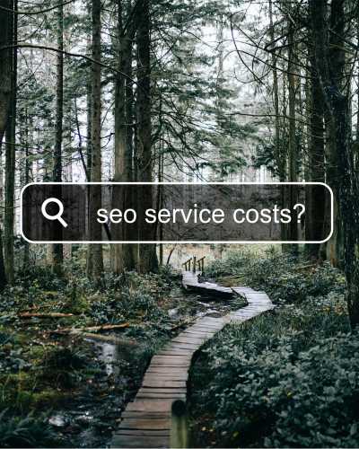 Search bar overlaying a forest path | SEO Service Pricing |HarrisWeb Creative | Milton